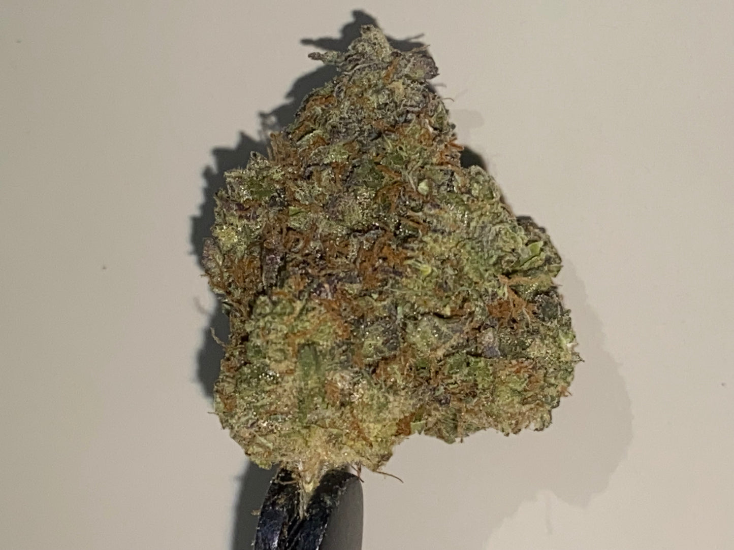 Exotic